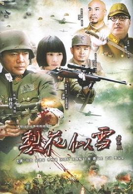 梨花似雪 第13集