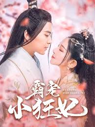 霸宠小狂妃 第04集